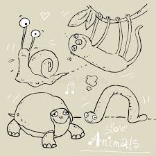 Slow animals